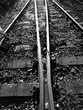 Mit Unkraut überwucherte Schienen und Gleise der Eisenbahn mit Weiche an einer stillgelegten Bahnlinie am Hauptbahnhof in Münster in Westfalen im Münsterland, fotografiert in klassischem Schwarzweiß