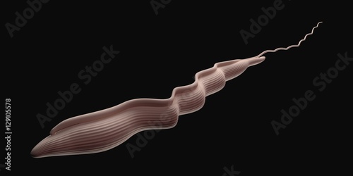 Fotografia, Obraz Trypanosoma brucei parasite that causes nagana disease llustration
