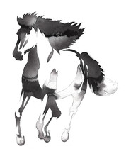Black And White Monochrome Painting With Water And Ink Draw Horse Illustration