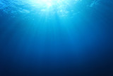 Fototapeta  - Underwater blue background in sea