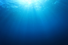 Underwater Blue Background In Sea