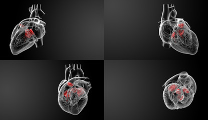 Wall Mural - 3D rendering of the Heart valve