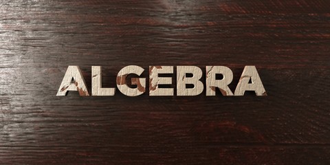 Algebra - grungy wooden headline on Maple  - 3D rendered royalty free stock image. This image can be used for an online website banner ad or a print postcard.
