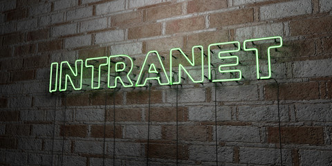 Poster - INTRANET - Glowing Neon Sign on stonework wall - 3D rendered royalty free stock illustration.  Can be used for online banner ads and direct mailers..