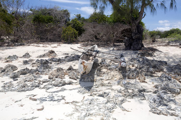 aboriginal dugout catamaran, amoronia orange bay, indian ocean, north of madagascar