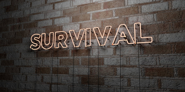 SURVIVAL - Glowing Neon Sign on stonework wall - 3D rendered royalty free stock illustration.  Can be used for online banner ads and direct mailers..