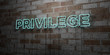 PRIVILEGE - Glowing Neon Sign on stonework wall - 3D rendered royalty free stock illustration.  Can be used for online banner ads and direct mailers..