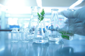 Wall Mural - glass flask with green leaf and hand of scientist shaking liquid