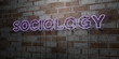 © Chris Titze Imaging - SOCIOLOGY - Glowing Neon Sign on stonework wall - 3D rendered royalty free stock illustration.  Can be used for online banner ads and direct mailers..