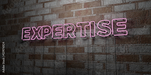 Fotografie, Obraz EXPERTISE - Glowing Neon Sign on stonework wall - 3D rendered royalty free stock illustration