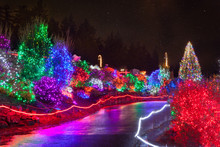 Zoolights At The Point Defiance Zoo In Tacoma, WA