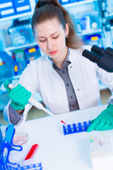 Poster - A young chemist holding test tube with liquid during chemical experiment. Woman cientist concentrates to load stripe of PCR samples for DNA analysis.