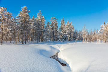 Wall Mural - beautiful northern winter landscape