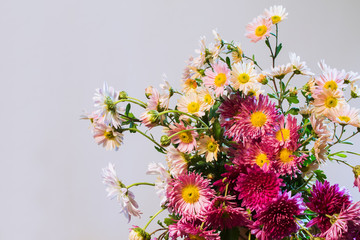 bouquet of multicolored chrysanthemums on a light background