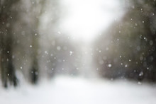 Falling Snow, Blurred Christmas Texture