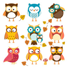 Pattern Owl