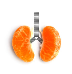 concept lung orange on white background