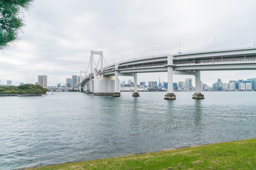 Wall Mural - Tokyo skyline with Tokyo tower and rainbow bridge.