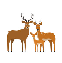 Deer Family In Flat Style On White Background
