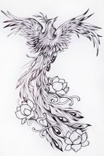 Black And White Sketch Of A Beautiful Phoenix With Flowers.