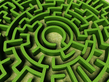 Round garden maze with green bushes as walls. 3D illustration