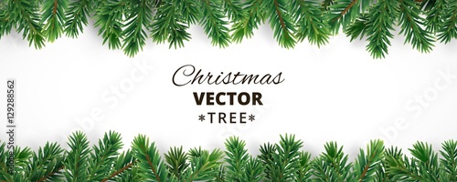 Fotomural Banner with vector christmas tree branches and space for text.