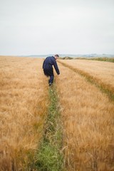 Poster - Farmer checking his crops