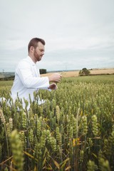 Poster - Agronomist checking the crops in the field