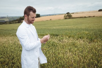 Poster - Agronomist checking the crops in the field