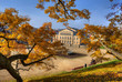 Blick durchs Herbstlaub Schlossplatz Coburg Oberfranken
