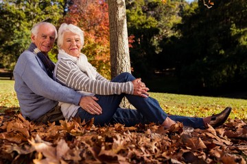 Senior couple sitting on the ground