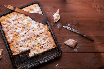 Wall Mural - charlotte apple cake in the pan and slices of cake