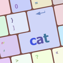 Poster - cat word on computer pc keyboard key