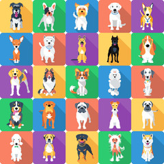 Wall Mural - Vector seamless background with dogs icon flat design