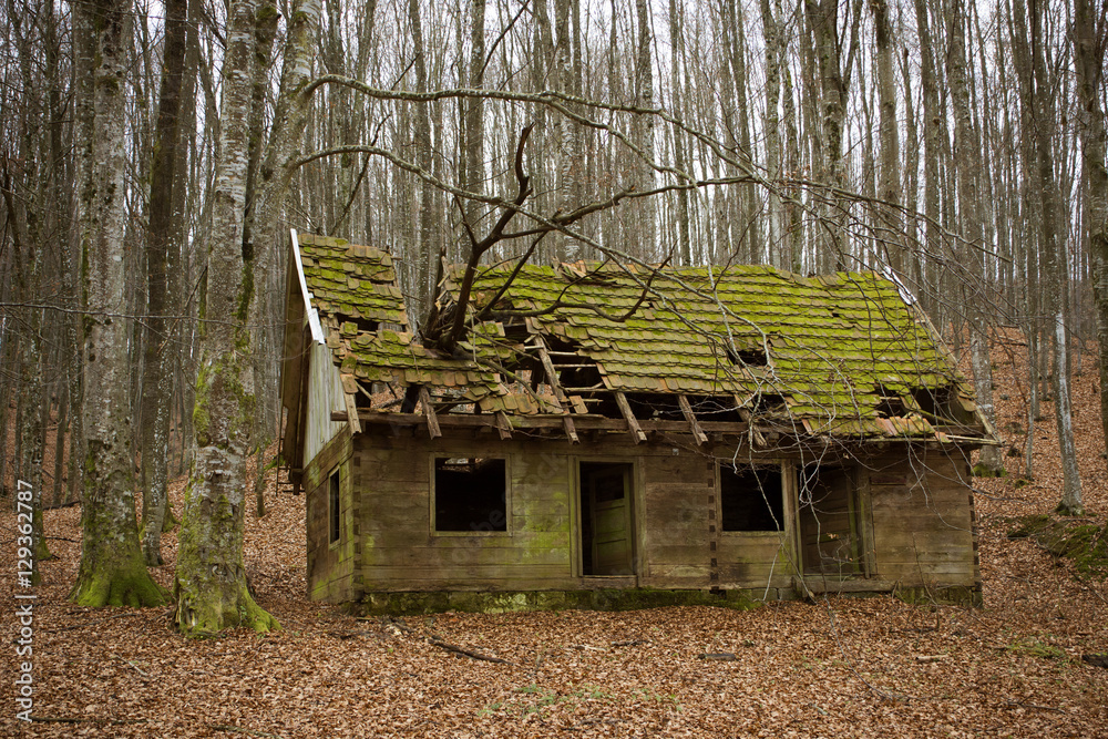 Abandoned cabin (once it was partisans printing office) in woods near  Petrova gora, Croatia Stock Photo | Adobe Stock