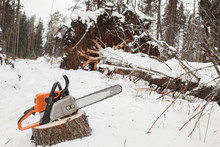 Chain Saw On Pine Stump The Fallen Tree In Winter