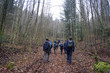 © VoltarianCH - Wandern in den Wäldern