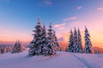 Wall Mural - landscape