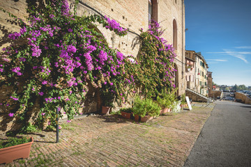 Wall Mural - Magical place in a medieval fairy tale, Siena in Tuscany.