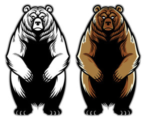 Wall Mural - grizzly bear