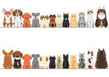 Cats And Small Dogs Border Set, Front View And Rear View