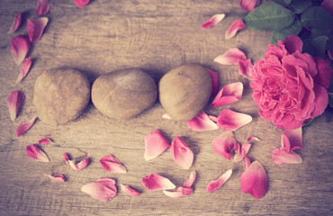 Still life,pink rose flower and zen stone on grunge wooden backg