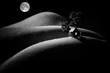 Monochrome bodyscape with a little house, that looks like a night landscape
