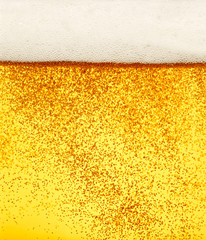 beer closeup alcohol drink beverage