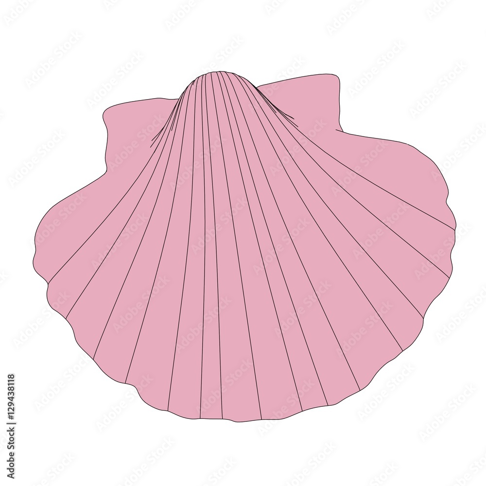 2d cartoon illustration of shell Stock Illustration | Adobe Stock