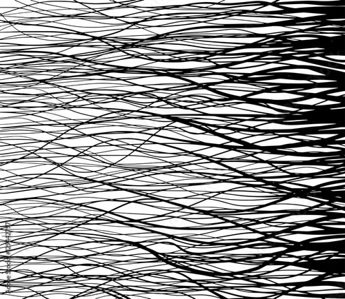 Rastr Hair The Contour Of The Hair A Strand Of Hair The