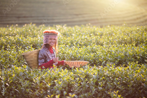 Fotografie, Obraz Child girl tribal in green tea farm , Chiang rai, Thailand
