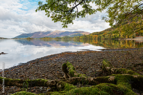 Fotografie, Obraz Mossy Tree Roots on the Shore of Derwent Water in Autumn