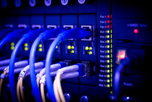 Server, Fiber, Network, Fiber Optic Network Server, Network Cables Installed In The Network Cable, Install In The Rack, Wire.