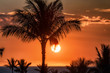 Hawaiian island sunset with palm tree silhouettes and red sky